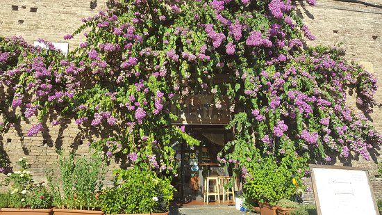 Gino Cacino di Angelo